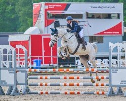 Zuchtstute My Hope (Holsteiner, 2017, von Million Dollar)