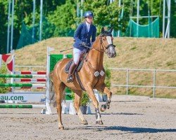jumper Zatchmo (Holsteiner, 2017, from Zirocco Blue)
