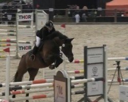 jumper Ocinci WH (Holsteiner, 2019, from Origi D'o)