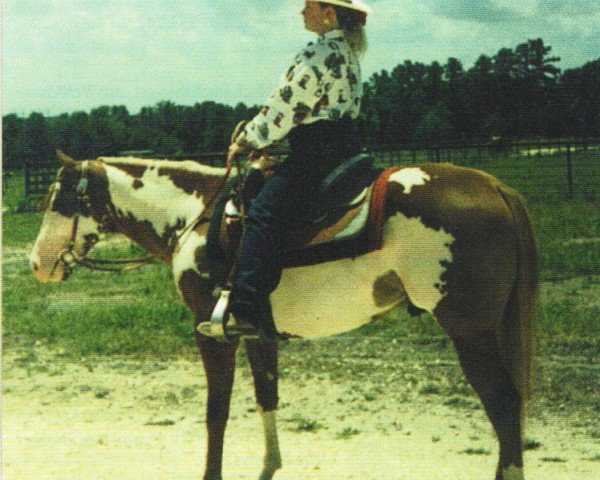 horse Norfleet Dun It (Paint Horse, 1995, from Mr. Norfleet)