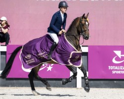 jumper Tinkers Touch (anglo european sporthorse, 2017, from Tornesch)