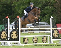 jumper CBI King (Irish Sport Horse, 2016, from Douglas)