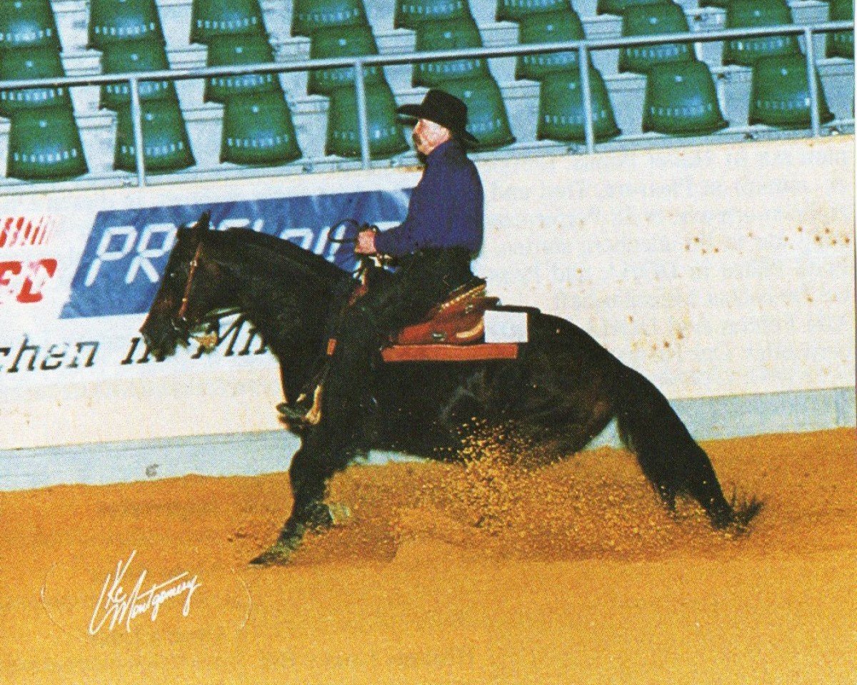 stallion Poco Jameen Chex (Quarter Horse, 1992, from Sir Poco Frosty)