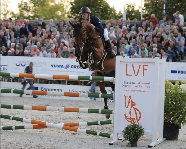 jumper Beemdgraaf (KWPN (Royal Dutch Sporthorse), 2006, from Quasimodo Z)