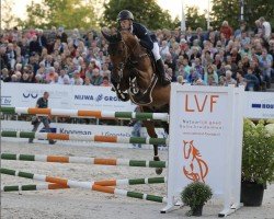 Springpferd Beemdgraaf (KWPN (Niederländisches Warmblut), 2006, von Quasimodo Z)