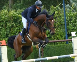 Springpferd Coco Loco Cth (Westfale, 2019, von Contendrix)