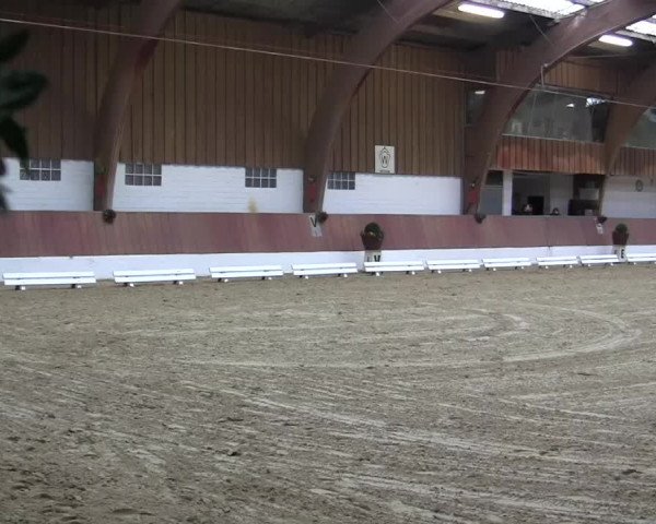 Krefeld - Reitanlage Kühnen, Junge-Pferde-Turnier 2014