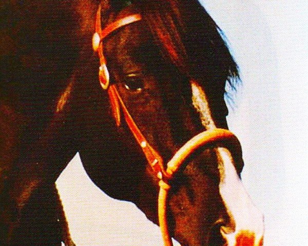 horse Dressed By Red (Quarter Horse, 1992, from Red Sonny Dee)