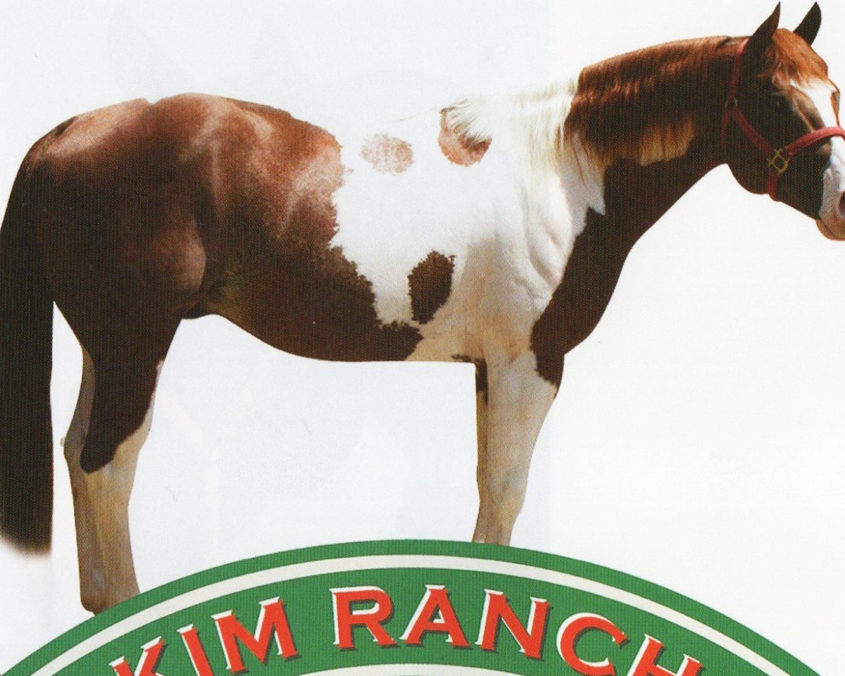Deckhengst Glo Bar Olena (Paint Horse,  , von Gay Bar O lena)