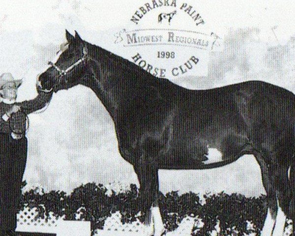 horse Calypso Girl (Paint Horse, 1990, from ROBINS SCRIBBLER)