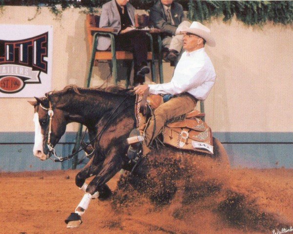 Pferd Gunner San Juan (Paint Horse, 2003, von Colonels Smoking Gun)