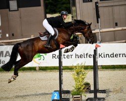 jumper Kennedy 45 (Hanoverian, 2016, from Kannan)