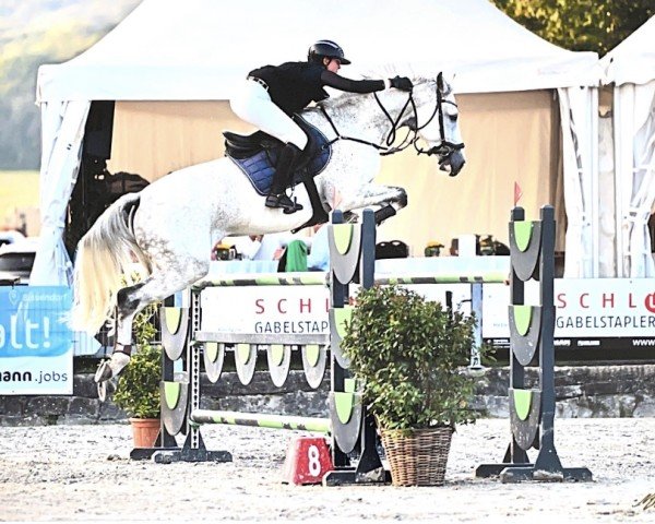 jumper Larocca H (Oldenburg show jumper, 2014, from Lyjanero)