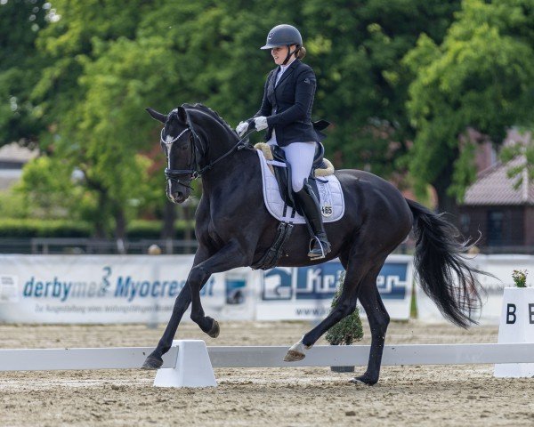 Dressurpferd Livadonna E (Deutsches Sportpferd, 2021, von Life Time FRH)