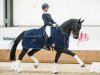 dressage horse Quartermain 4 (Hanoverian, 2008, from Quaterback)