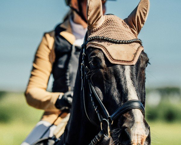 jumper Viamento FS (German Sport Horse, 2015, from Viscount 22)