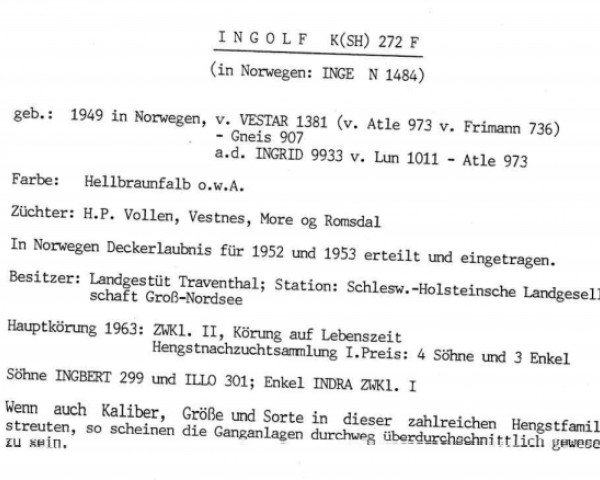 Deckhengst Ingolf K (SH) 272 F (Fjordpferd, 1949, von Vestar N.1381)