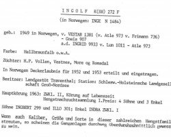 stallion Ingolf K (SH) 272 F (Fjord Horse, 1949, from Vestar N.1381)