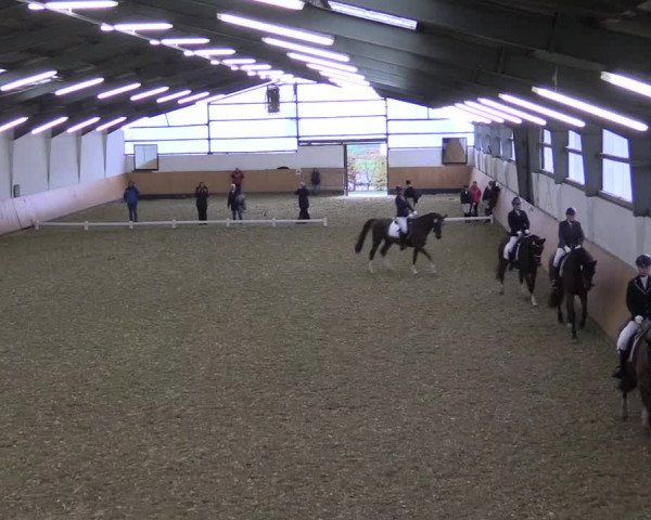 Reitturnier Datteln 2021