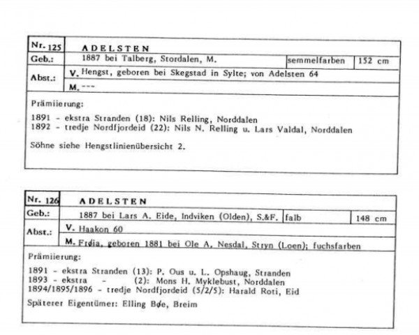 Pferd Adelsten N.125 (Fjordpferd, 1887)