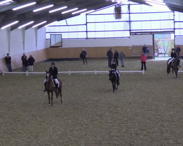 Reitturnier Datteln 2021