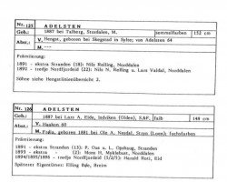 Deckhengst Adelsten N.126 (Fjordpferd, 1887, von Håkon N.60)