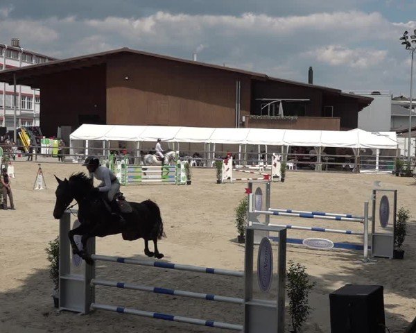 Reitturnier Sulgen 2025