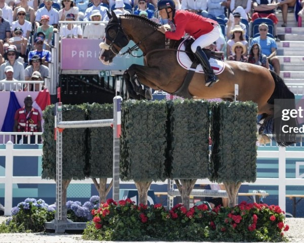 Springpferd Flash Blue B (KWPN (Niederländisches Warmblut), 2010, von Mr Blue)