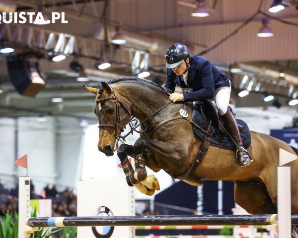 jumper Estoril Fortuna (KWPN (Royal Dutch Sporthorse), 2009, from VDL Harley)
