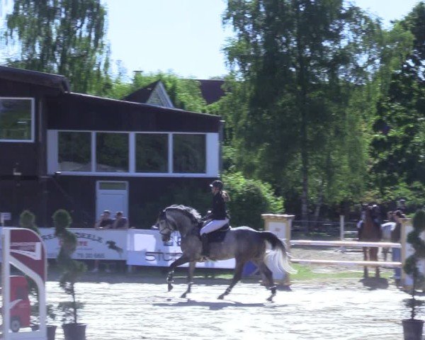 Reitturnier Niederbergheim 2025