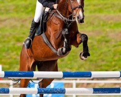 jumper Charyzma W (polish noble half-breed, 2006, from Largo)