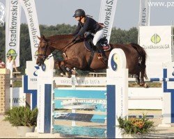 broodmare Chelsea Blue (Oldenburg show jumper, 2005, from Chacco-Blue)