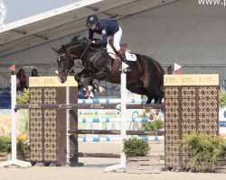 jumper Gilea (Polish Warmblood, 2006, from Ludger)