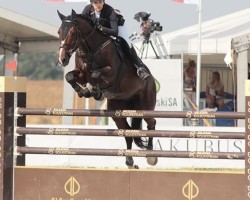 jumper Costello (KWPN (Royal Dutch Sporthorse), 2007, from Luidam)