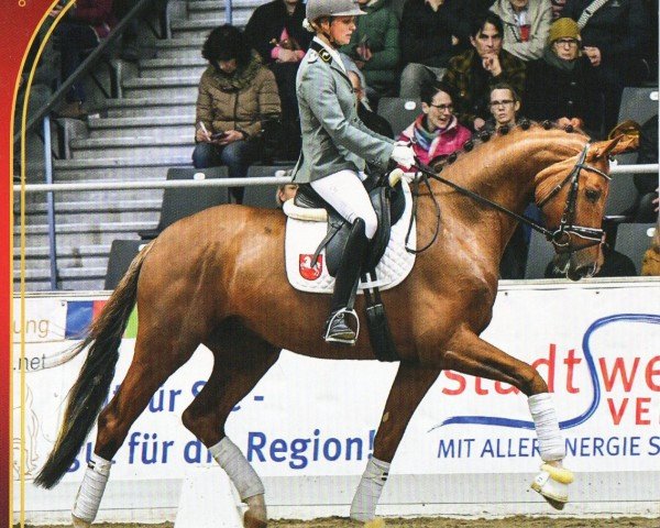 dressage horse Babarossa (Hanoverian, 2020, from Bonds)