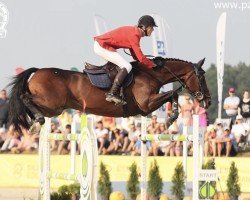 jumper Heartbreaker 5 (KWPN (Royal Dutch Sporthorse), 2001, from Heartbreaker)