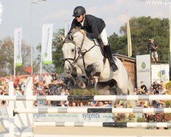 jumper Que Pasa 5 (KWPN (Royal Dutch Sporthorse), 2006, from Quite Easy I)