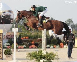jumper Urbane (KWPN (Royal Dutch Sporthorse), 2001, from Landeur)