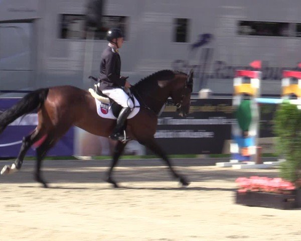 Reitturnier Bremen - Reitanlage Forkert 2025