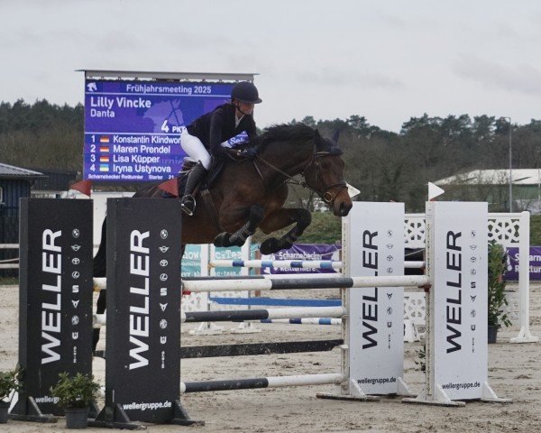 jumper Danta (Holsteiner, 2019, from Diarado)