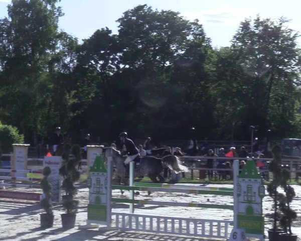 Reitturnier Niederbergheim 2025