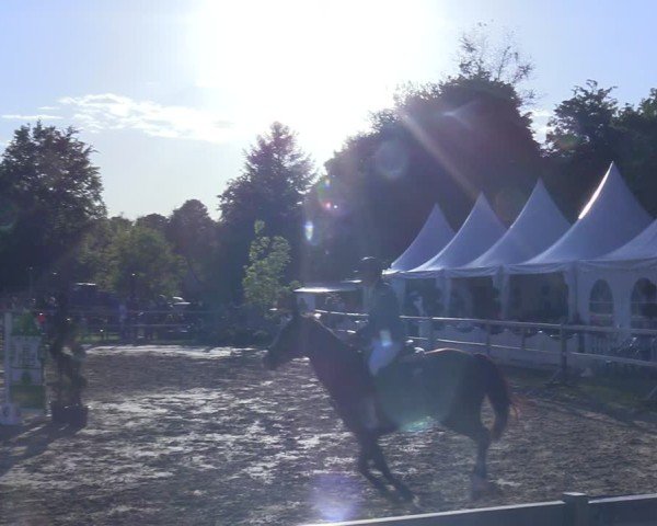 Reitturnier Niederbergheim 2025