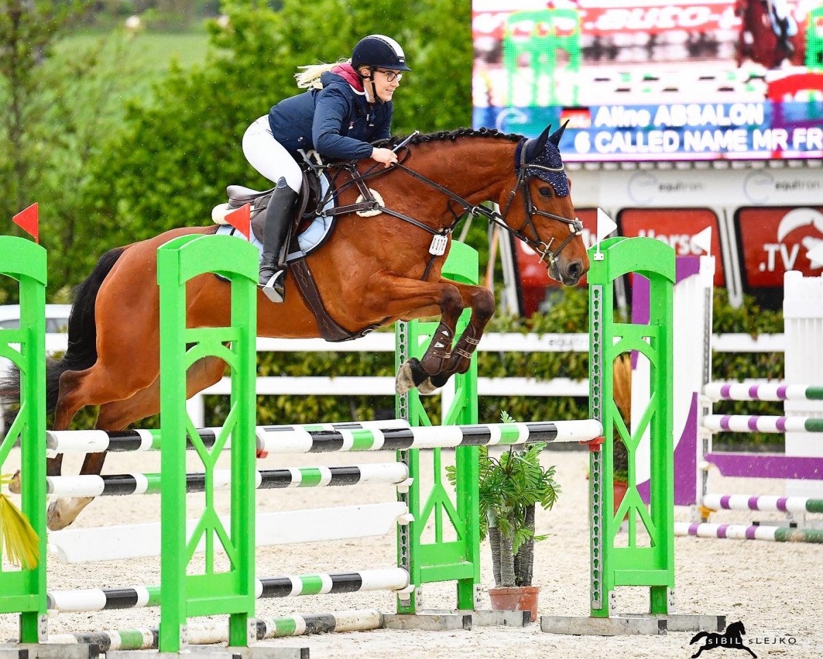 Springpferd Codename Mr. Fritz (Westfale, 2015, von Casscoltairo)