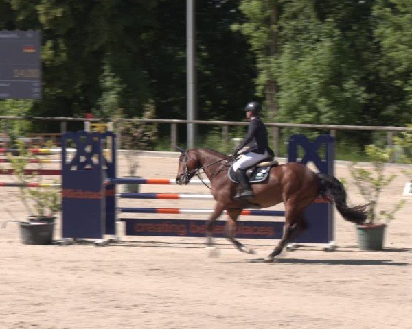 Reitturnier Erkrath - Uhlenhof 2025