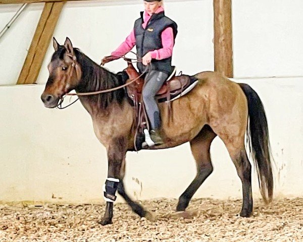 horse Snoopy of Dry Doc (Quarter Horse, 2000, from Pre Mania Jack)