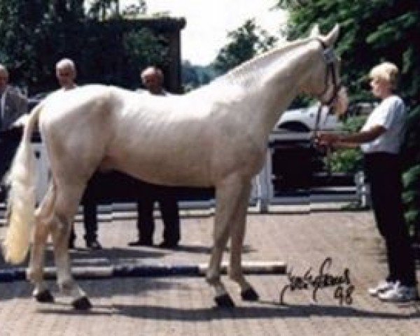 stallion Mascarpone GF (Zweibrücken, 1995, from Mega-Star)