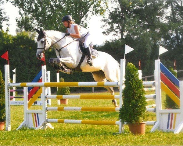 broodmare Apfilithya (KWPN (Royal Dutch Sporthorse), 2005, from Heartbreaker)