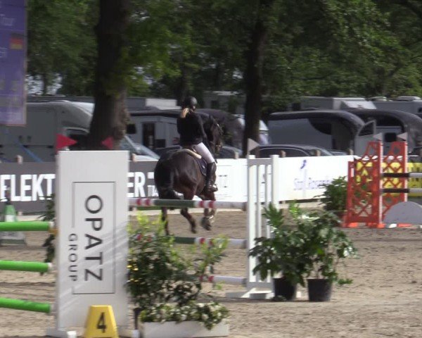 Reitturnier Bremen - Reitanlage Forkert 2025