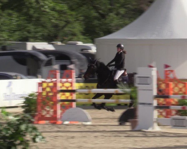 Reitturnier Bremen - Reitanlage Forkert 2025