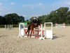 jumper Kingsway (German Riding Pony, 2010, from Kaiser Konrad)